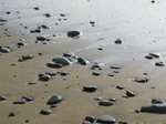 24995 Pebbles on beach.jpg